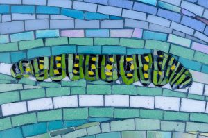 Mosaic Swallowtail Caterpillar
