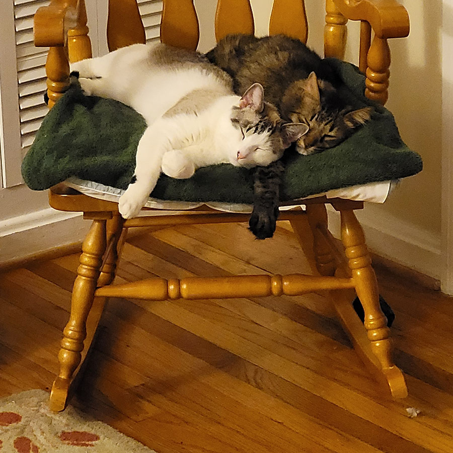 Snuggle Bros Forever. Sweet Pea and Stinker take a break their normal nap schedule to squeeze in a quick two-hour snooze in the rocking chair.