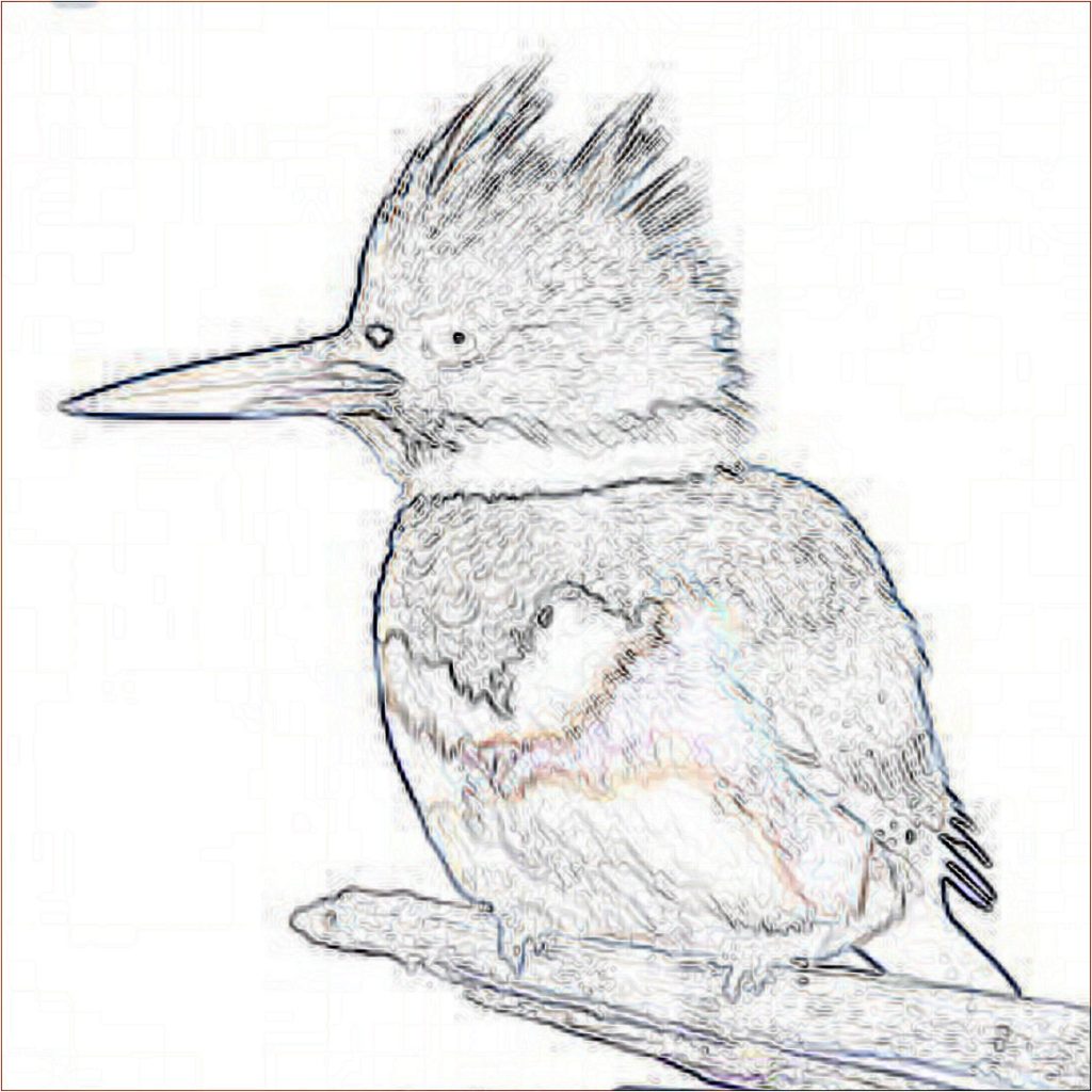 kingfisher-mosaic-pattern-v2