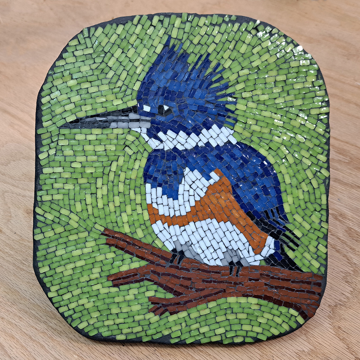 Kingfisher Mosaic: Improvising over a Pattern