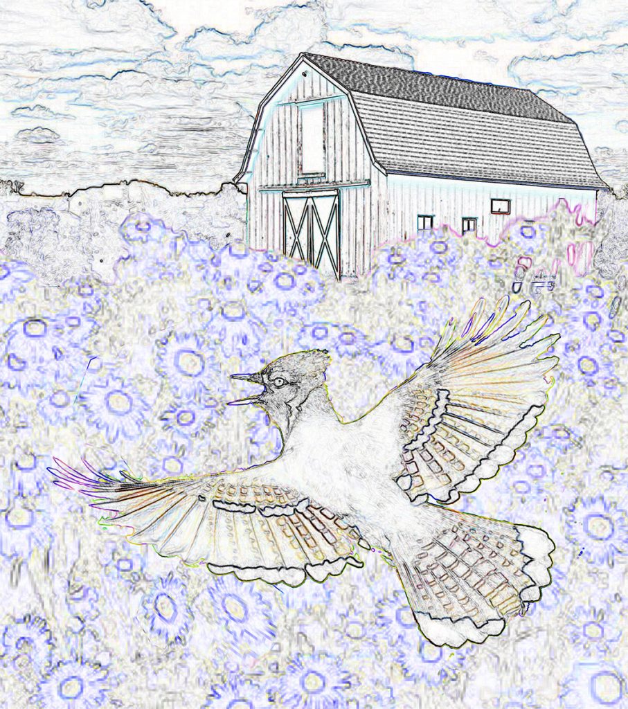 blue-jay-mosaic-v3-pattern-1200