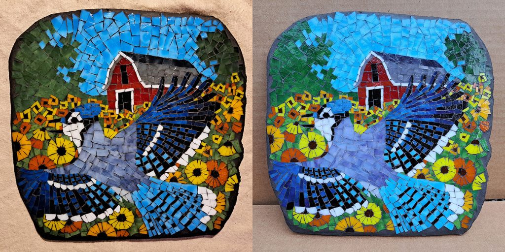 blue-jay-mosaic-comparison