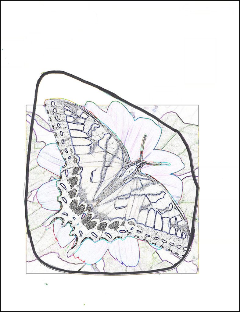 mosaic-pattern-swallowtail-2-uncropped