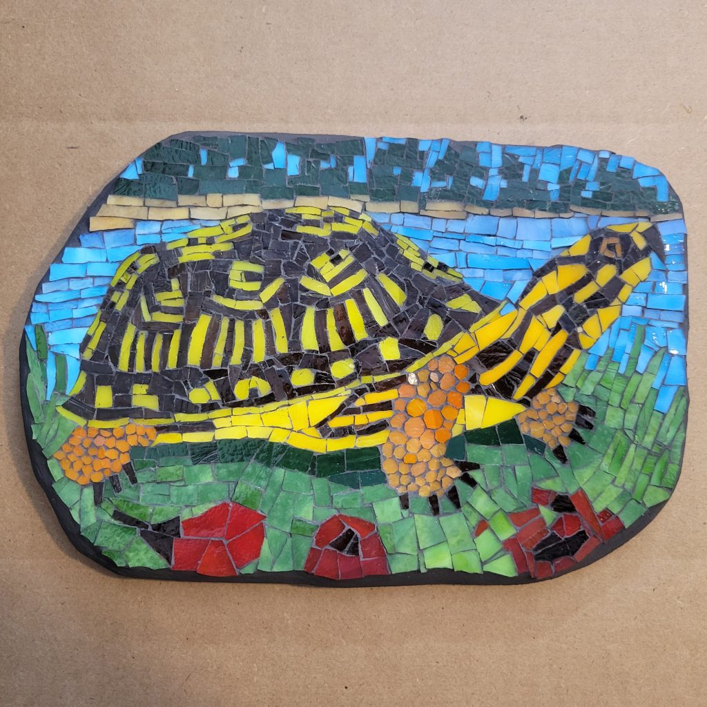 box-turtle-mosaic-finished