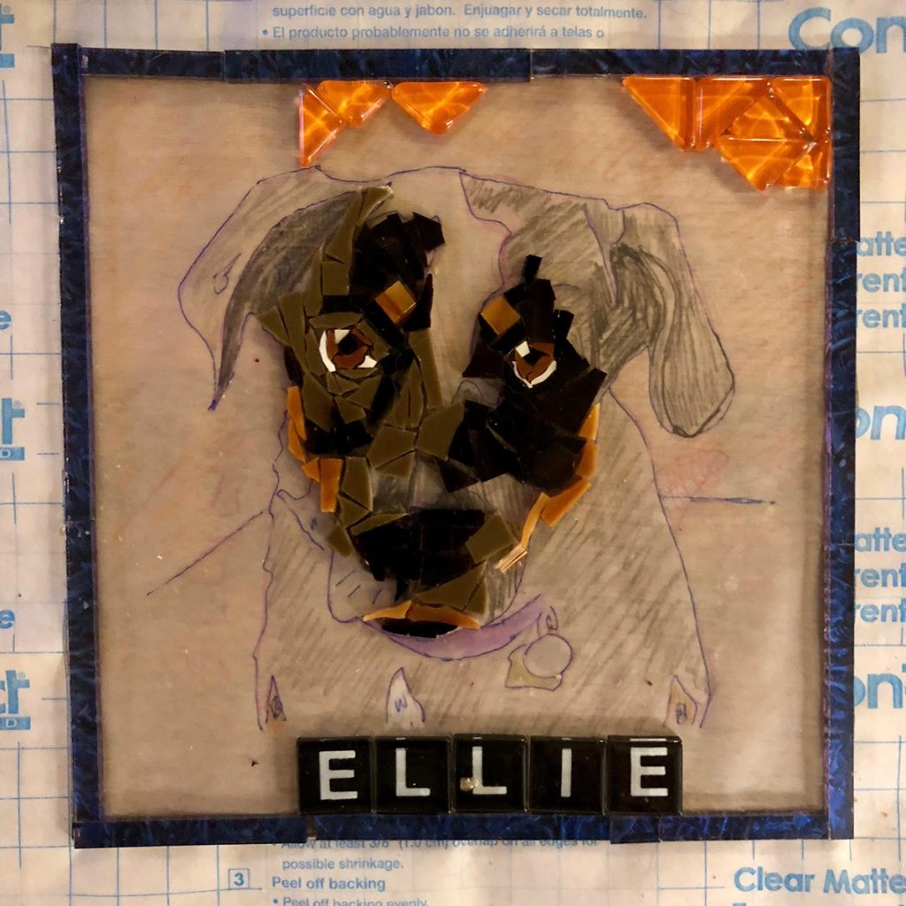Pet Portrait Mosaic by Joan Gummels, in progress 2