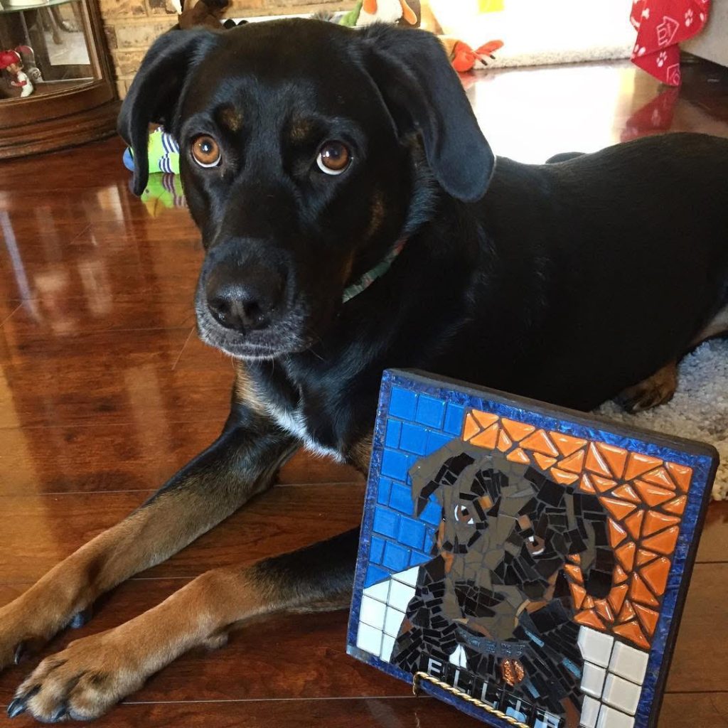 Pet Portrait Mosaic by Joan Gummels with model Miss Ellie Binelly