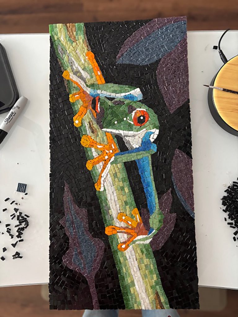 Red-Eyed Tree Frog Mosaic by Christine Jeffson, before grouting